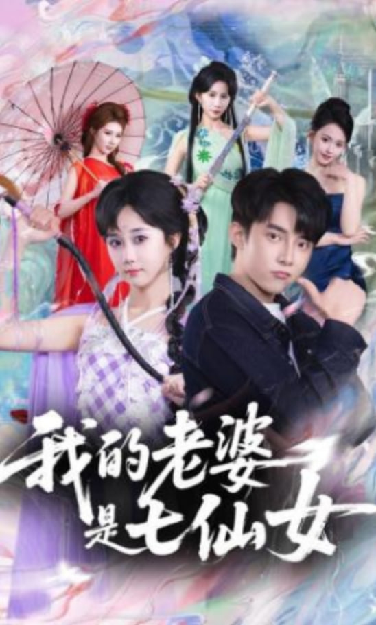 我的老婆是七仙女(全集)