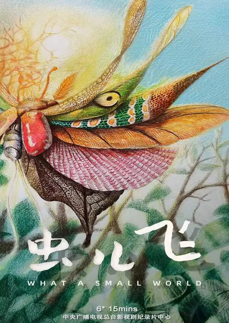 虫儿飞(全集)