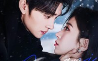 雪落时逢你(全集)