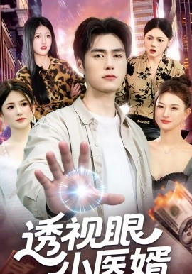 透视眼小医婿(全集)