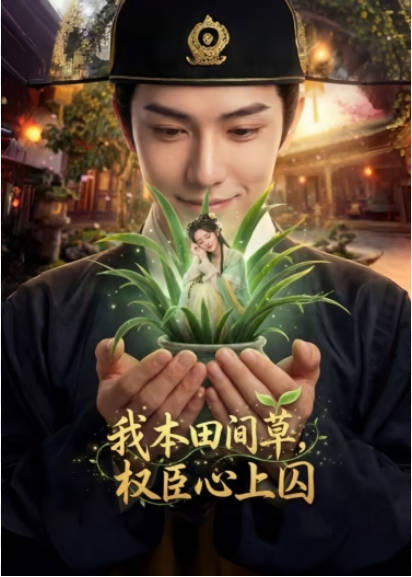我本田间草--权臣心上囚 Ai漫剧(全集)