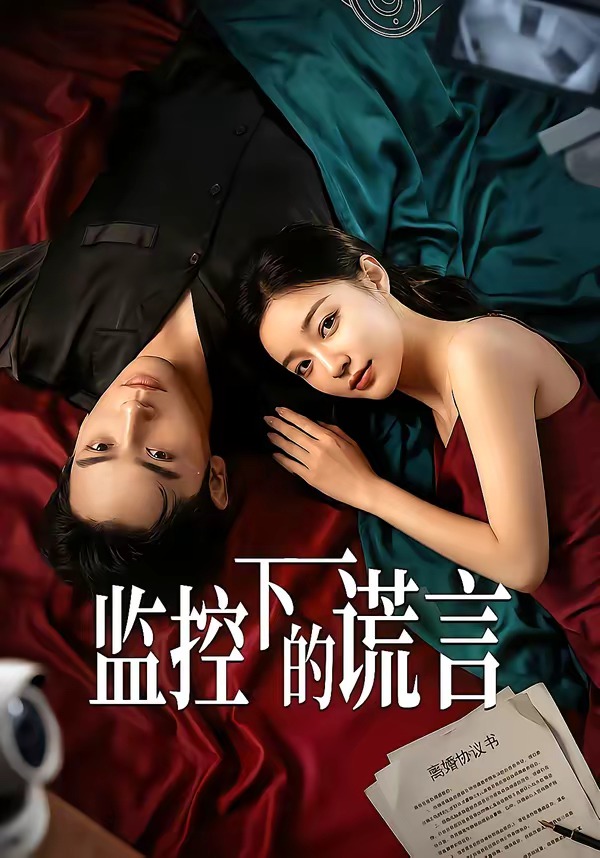 监控下的谎言 Ai(全集)