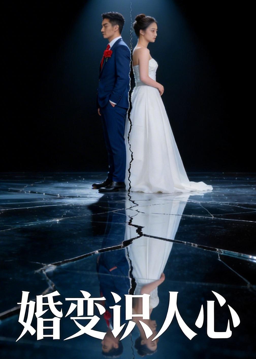 婚变识人心 Ai(全集)