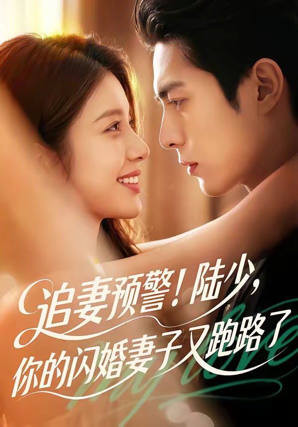 追妻预警-陆少-你的闪婚妻子又跑路了 Ai漫剧(全集)