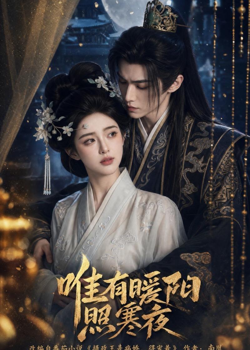 唯有暖阳照寒夜 AI(全集)