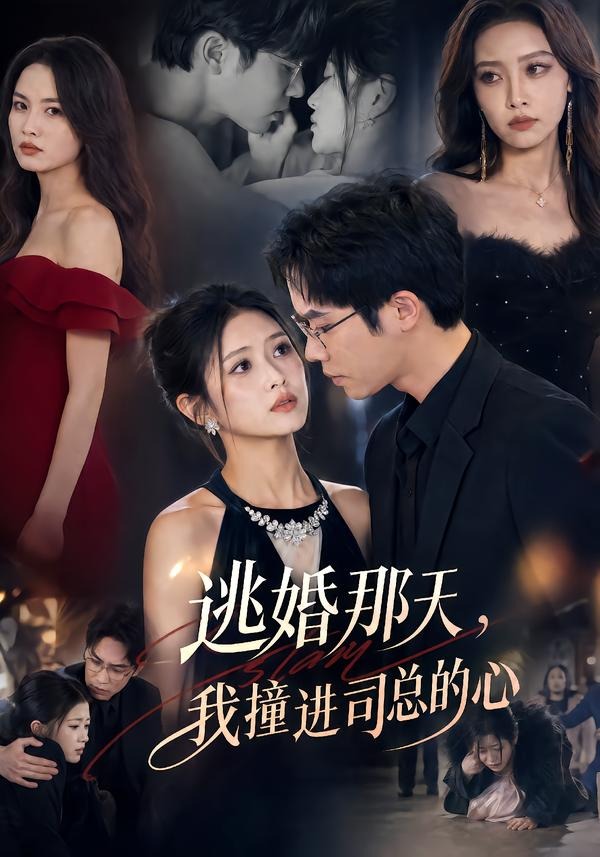 逃婚那天-我撞进司总的心(全集)